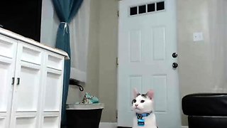 British amateur teen in hot stockings fucks lucky older guy