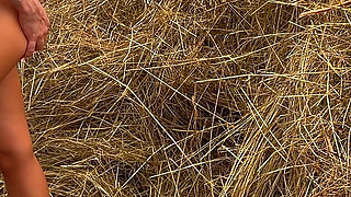 This Beauty Loves in a Public Place. Hayloft. Nature