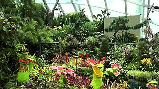 Czech amateur blowjob and fucking POV in public