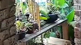 Cuckold Boss Wanted Me to Fuck His Slut Wife He Jerks off