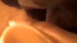 Screw My Wife Club featuring pornstar's cuckold porn