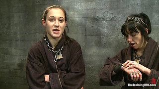 Day 5 Sparky and Muscles