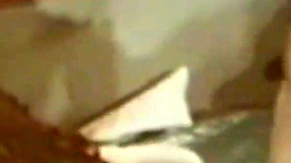 Vanessa the Perverted Fogoza