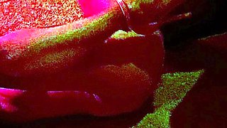 Hot amateur close up hardcore HD video