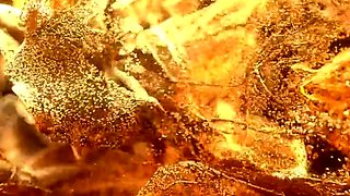 Hardcore big cock blowjob vids