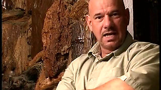 Streaming Movie From Rio of 5-guy Cream Pie