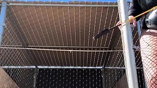 Solo girls masturbate until orgasm for