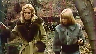 Of An American Housewife