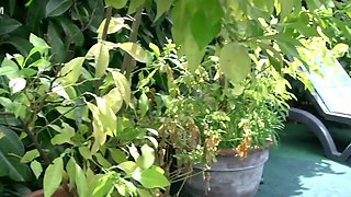 Busty French In Milf Licks Balls 5200