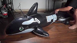 Chinese Bound Dolphin Breathplay