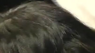 Vanessa Brink Glued to Cock