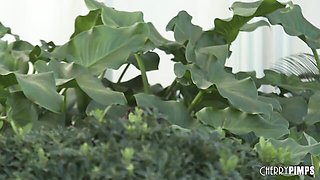 Watch well-made Bella Rose's trailer