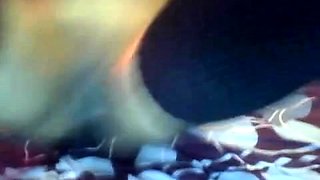 Big Boobs LauraHaze Doing Masturbation Slutcamzz