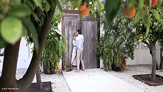 Sex affair scene next to the blonde's house