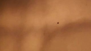 hot amateur french hardcore fucked HD video