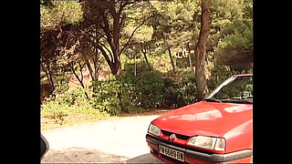 They Went to the Beach to Have Sex There.