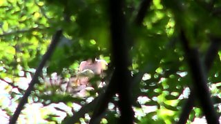 Voyeur captures amateur couple having sex on the beach
