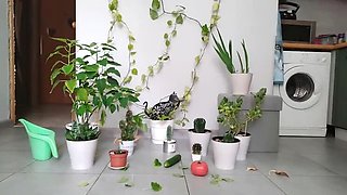 Skinny Russian Mom with Big Saggy Tits Gets Garbage Orgasm - Extreme Food Fuck & Squirting in Kitchen