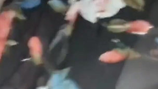 Youngenglishbbw Sucking BBC Nata4sex ass to pussy pounding