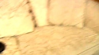 Gorgeous brunette babe fucked hardcore in the bathroom