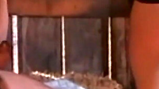 Crazy Sex Devour Pussy and Pound Huge Cocks All Day (full Porn Movie)