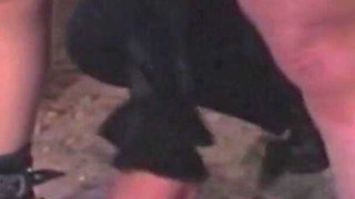 German BDSM - Slap ass anal outdoor