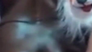 Tamil Desi MILF Renu's Nuru Oil Massage, Cowgirl Fuck & Boobs Sucked with Young Bull in Front of Cuck Husband - Indianhotwifex