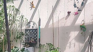 Montana nudie gardening