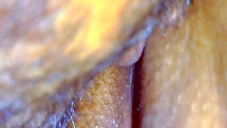 Desi Village Bhabhi First Time Pussy Licking by Brother-in-law - Close Up Licking & Orgasm