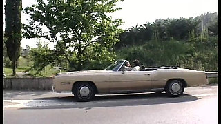 Daily Stories of Young Sluts