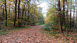 Walking Naked Through the Woods After Her Vagina Slapping