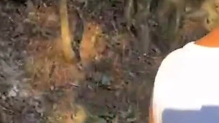 I Went Into the Bush with the Hot Boy It Was Delicious This Walk in the Bush