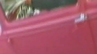 On Holiday with Two Foreigners