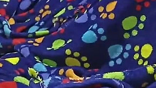 The Fox and the Tramp