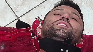 Dominatrix Dominação Face Sitting Domination