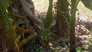 Indian tamil bhabhi sex in outdoor banana grove