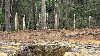 Country MILF Flirts with Me at the Fair and We Meet up in the Woods