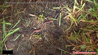 Ginger Sub Tied Up and Humiliated with Enema in Hardcore BDSM Scene