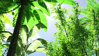 The Lust City 2 - Sophia Gets Massive Creampie in the Jungle