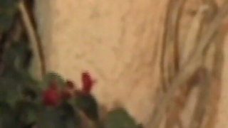 Dirty Lovers Devour Pussy and Cock Together in Wild, Wet Orgies