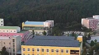 My Giving-everything Sister-in-law