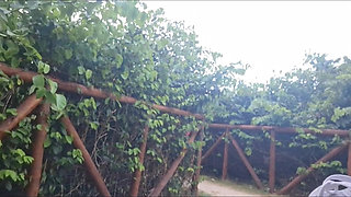 Masturbation: I Showed My Hard-on to a Slut in the Park!