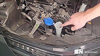 Max Adonis In Revving Up Motor