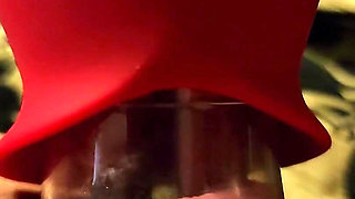 I Got Lots of Toys Another Sucking Licking Toy to Try