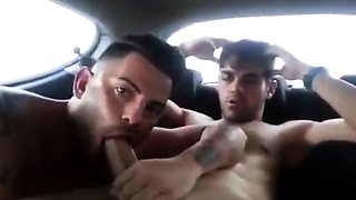 Gay