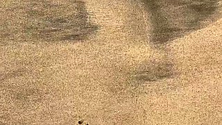 Foot fetish Handjob POV