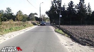 Enchanting ho's back seat fucks porn