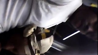Brain's Blowjob on the Bus