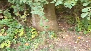 Walking In The Forest