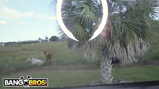 BangBros Compilation: Kelsi Monroe & Remy LaCroix Get Ditched After Riding The Bang Bus - Public Amateur Fun